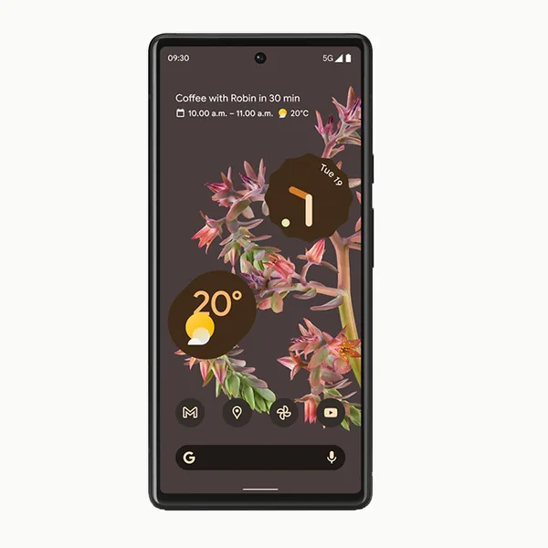 Google Pixel Pixel 6